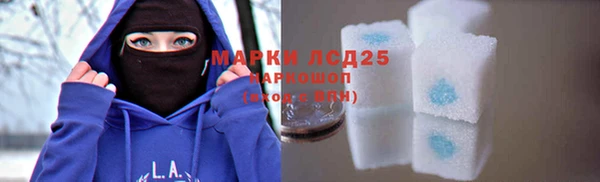 шишки Баксан