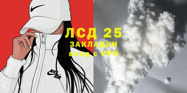 шишки Баксан