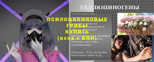 шишки Баксан