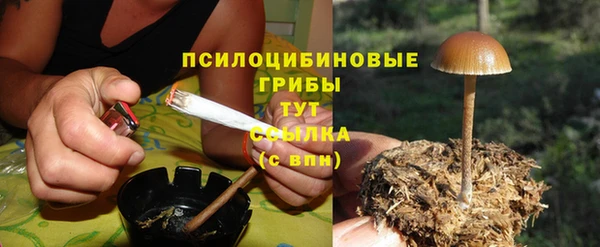 шишки Баксан